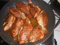 DSCN1235.JPG