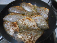 DSCN1233.JPG