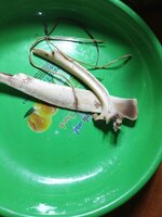 IMG_20250613_201844_304.jpg