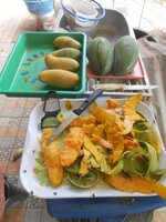 DSCN0113~2.JPG