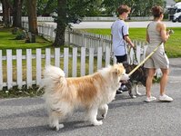IMG_20250802_171600~2.jpg