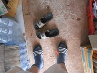 DSCN0219.JPG