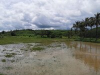IMG_20250528_105329.jpg