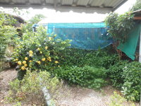 DSCN1472.JPG