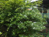 DSCN1476.JPG