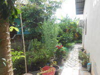 DSCN1474.JPG