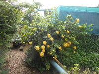DSCN1467.JPG