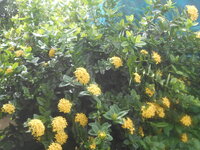 DSCN1468.JPG