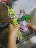 DSCN1674~2.JPG