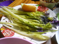 DSCN1675.JPG