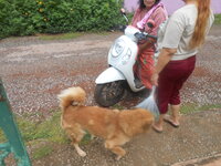 DSCN1606.JPG