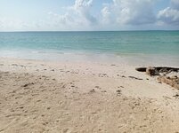 IMG_20250701_094319.jpg