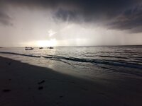 IMG_20250630_070549.jpg