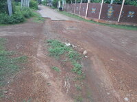 DSCN1634.JPG