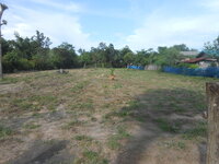 DSCN1637.JPG
