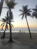 IMG_20250304_182645.jpg