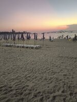 IMG_20250304_184135.jpg