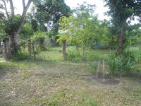 DSCN1644.JPG
