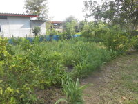 DSCN1639.JPG
