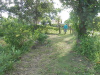 DSCN1640.JPG