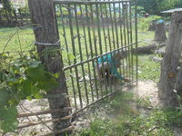 DSCN1645.JPG
