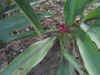 DSCN1642.JPG