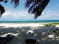 IMG_20250708_135139.jpg