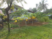 DSCN1650.JPG