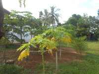 DSCN1649.JPG