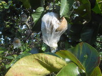 DSCN1662.JPG