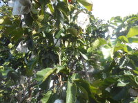 DSCN1663.JPG