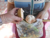 DSCN1654.JPG