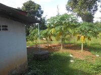 DSCN1699.JPG