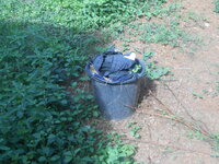 DSCN1702.JPG