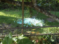DSCN1671.JPG