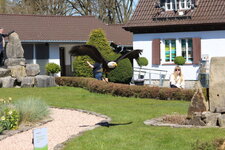 Duitsland-Detmold ''Adlerwarte'' (150).JPG