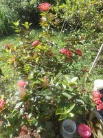 DSCN1713~2.JPG