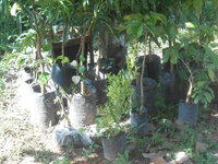 DSCN1722.JPG