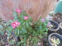 DSCN1660.JPG