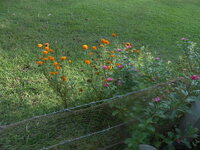 DSCN1658.JPG
