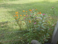 DSCN1659.JPG