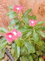 DSCN1660~2.JPG