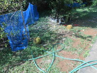DSCN1719.JPG