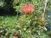 DSCN1717.JPG