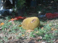 DSCN1721.JPG