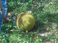 DSCN1720.JPG