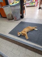 20250209_194252[1].jpg
