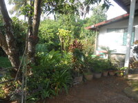 DSCN1670.JPG