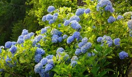 DSC02121.jpg