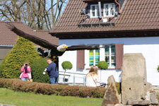 Duitsland-Detmold ''Adlerwarte'' (165).JPG
